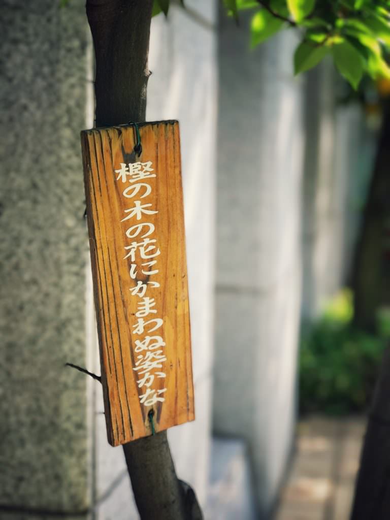 植木に芭蕉の俳句が